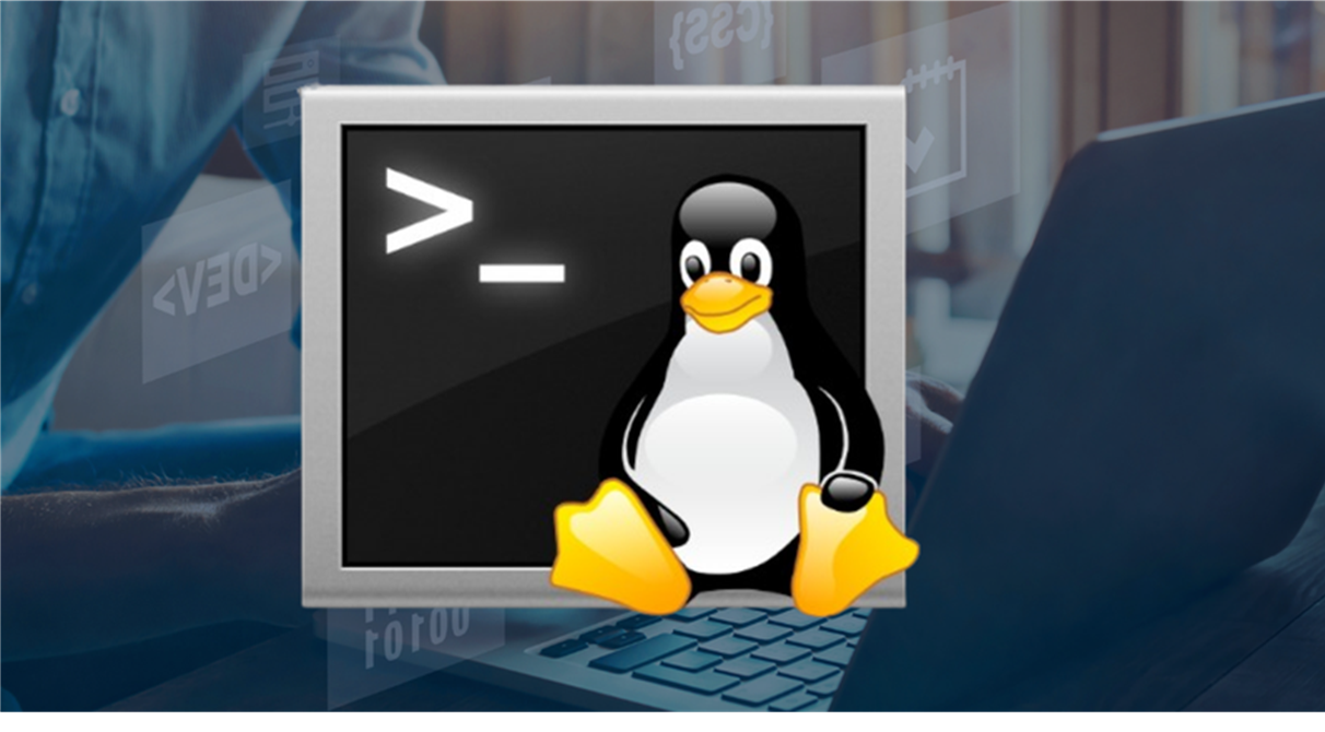 Cloud Computing_C110: Linux and Shell Programming (Professional)