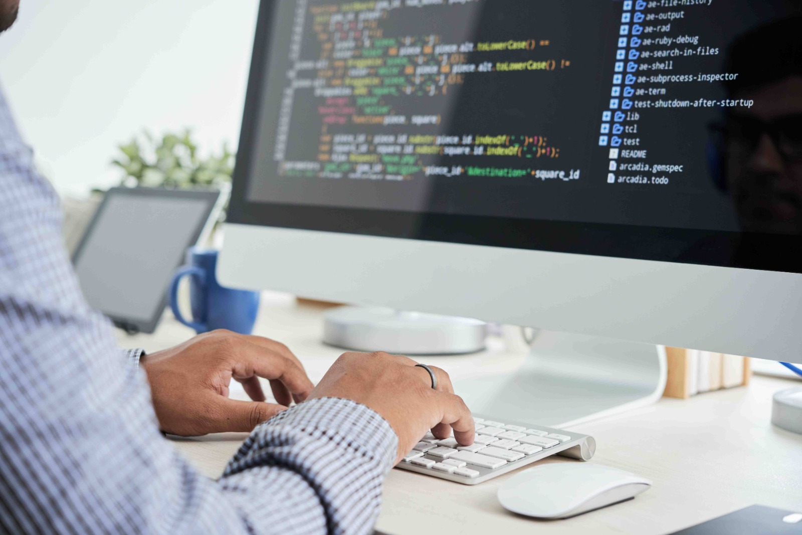 Analyst Programmer_AP113: Building WEB Applications