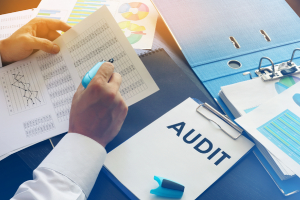 BA_LAB 101: Industry Audit (Analysis) Lab Project